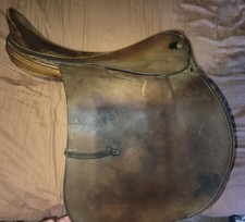 Spring Tree Campbell English