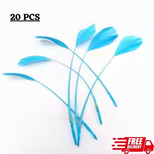 20pcs goose feathers - 20pcs, ostrich
