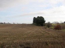 Photo 12x8 Newbourne: east