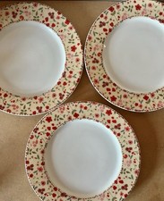 3 x NEXT Homewares Emily 10.5”/27cm Red Floral Dinner Plates