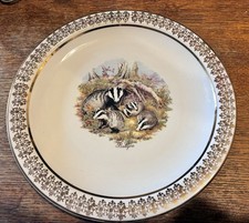Badger Family Decorative Large Plate White With Gold Rim Churchill Samsonite