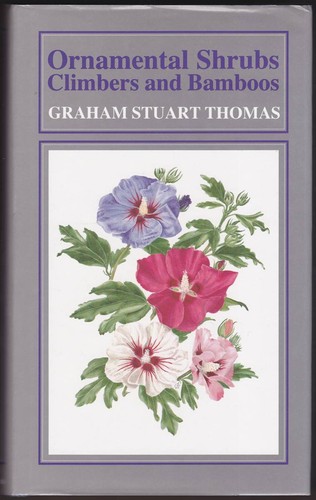 Ornamental shrubs climbers - ornamental,