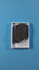 Fossilised Turtle Shell