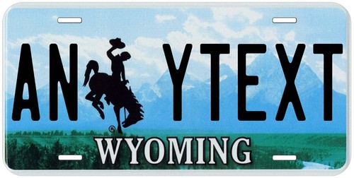 Personalized wyoming 2010 - personalized,