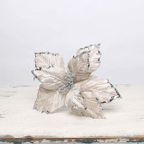 Silver velvet poinsettia with - silver,
