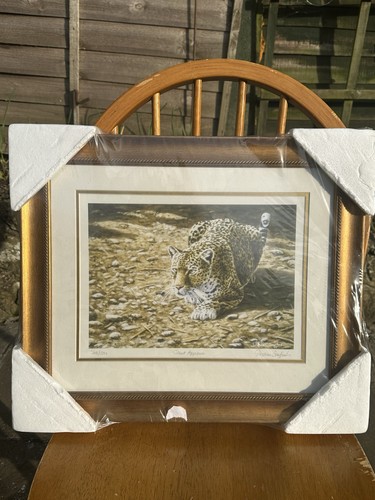 Limited edition framed print - edition,