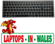 Genuine Lenovo Ideapad Z500