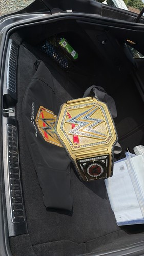 Wwe undisputed championship - wwe,