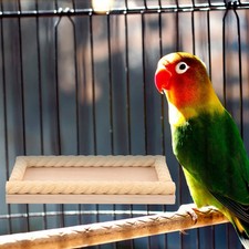 Parrot Playstand Large Bird