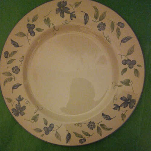 Barratts bhs dinner plate 5 - dinner,