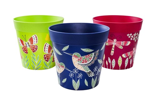 Clearance hum plant - plant, pots