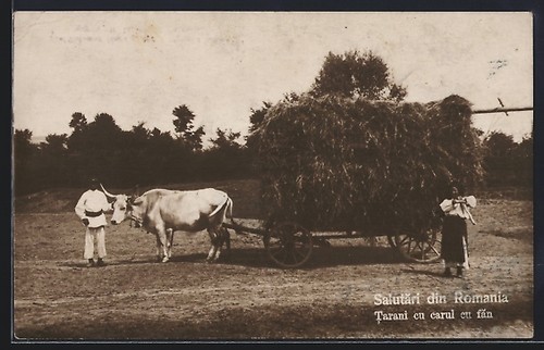 Pulling full hay wagon - full,