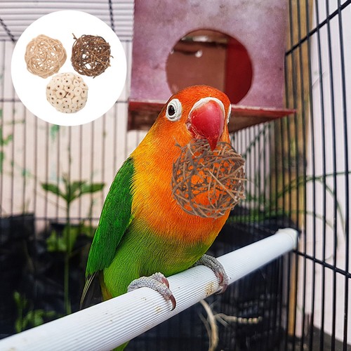Pcs parrot chewing - parrot,