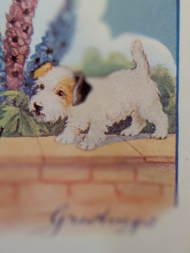 Vtg used sealyham terrier dog - sealyham,