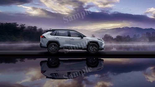 Toyota rav4 hybrid 2019 - toyota,