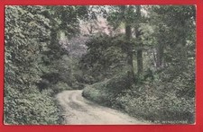 SOMERSET.   MAX Nr WINSCOMBE AXBRIDGE + CHEDDAR.