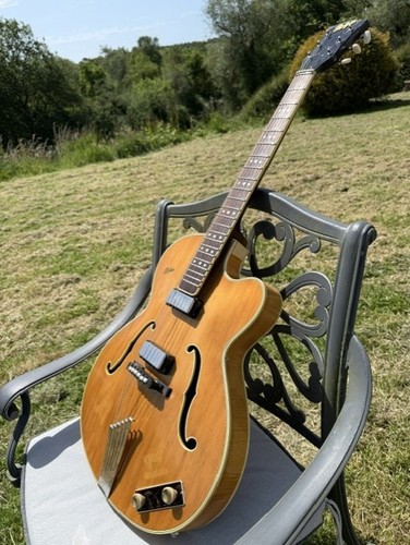 Hofner president vintage - hofner,