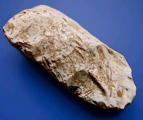 Prehistoric artifact hand - prehistoric,