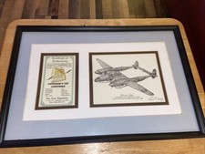 World War II P-38F "Glacier Girl" Lightning Fighter Relic Display