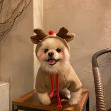 Dog Reindeer Jumper Costume Outfit Hoodie Puppy Dogs Coat Sweater S-XXL Sizes