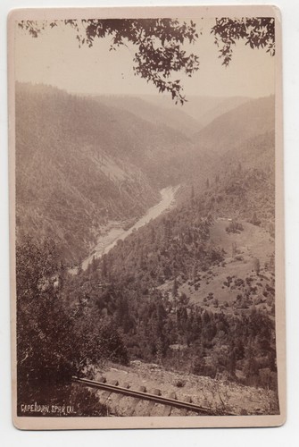 1880s cabinet photo - photo, c.r