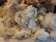 300g Washed sheep's fleece, Felting, Soft animal sculpture, Natural colours