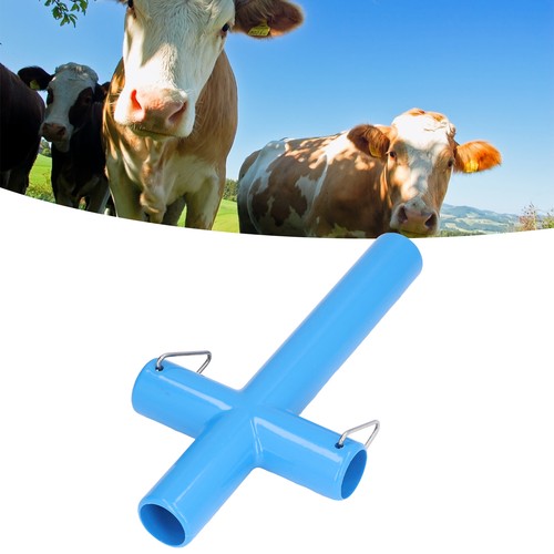 Cow cattle mouth opener - mouth,