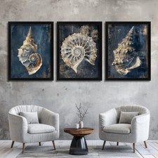 Seashell Set Of 3 Art Prints