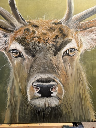 Deer portrait fine - fine, art