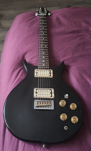 Washburn raven wing series - washburn,