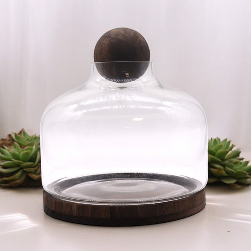 Glass terrarium dark tung - glass, on