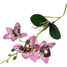 Cymbidium Orchid Handcrafted