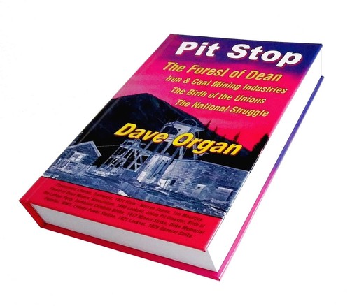 Pit stop dave - organ,