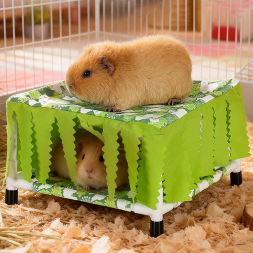 Guinea pig bed house - guinea,