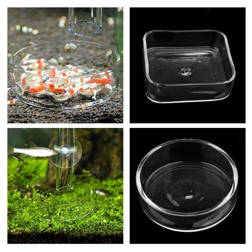 Aquarium glass feeding - , bowl