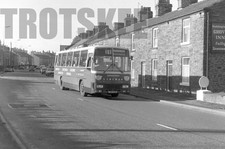 35mm Black and White Negative
