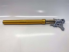 2018 Aprilia Tuono V4 1100