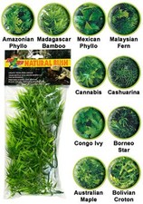 Zoo Med Reptile Natural Bush Plants Vivarium Decoration Variety