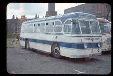 Original Coach Slide -