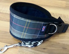 GREYHOUND / LURCHER COLLAR