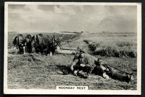 Tobacco card senior service - card,,
