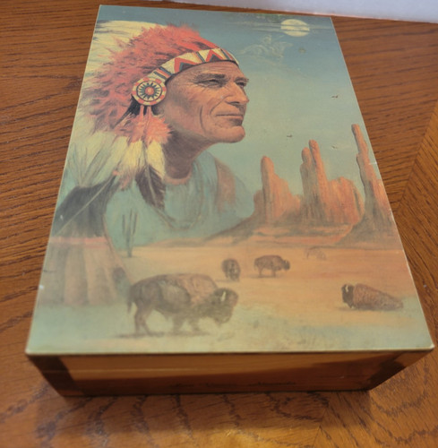 Native american indian - american, chief