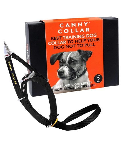 Canny collar dog - collar,