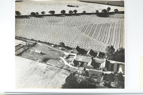 Aerial view bumper - aerial, harvest