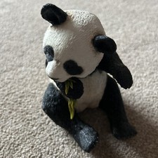 Country Artists Natural World