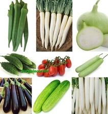 Seeds Radish Eggplant Cucumber Okra Gourd Bitter Gourd Bhindi Kheera Karela Seed