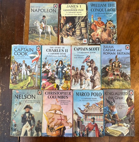 Vintage ladybird adventure - vintage,