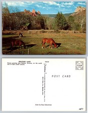 Grazing Land Oak Creek Canyon