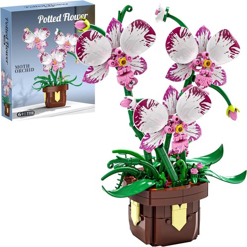 Orchid potted building block - potted,