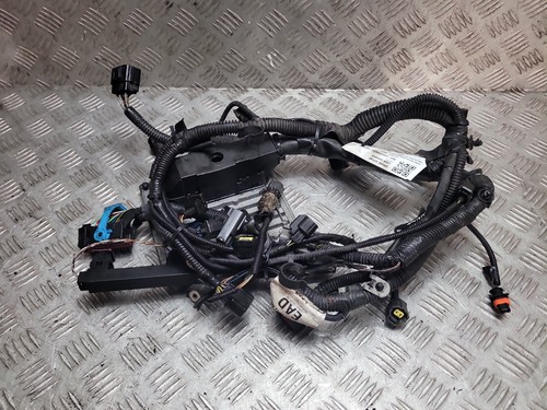 Ford focus mk2 - ford,